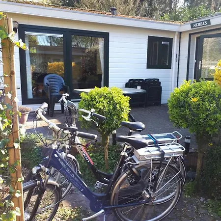 Luxury Holiday Chalet Forest On The Veluwe With Bikes