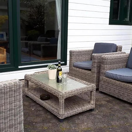 Luxury Holiday Chalet Forest On The Veluwe With Bikes