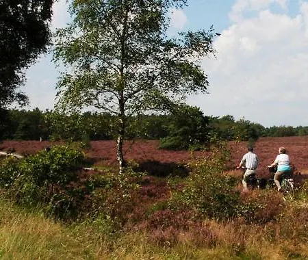 בקתה Luxury Holiday Chalet Forest On The Veluwe With Bikes פוטן