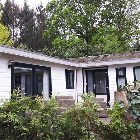 Luxury Holiday Chalet Forest On The Veluwe With Bikes *